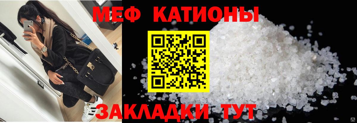 Северск  МЯУ-МЯУ мяу мяу  МЯУ-МЯУ  Вход с VPN  МЯУ-МЯУ мука 