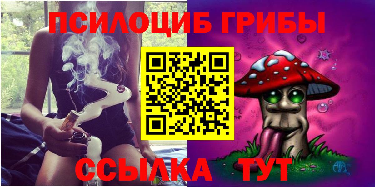 Псилоцибиновые грибы прущие грибы Северск