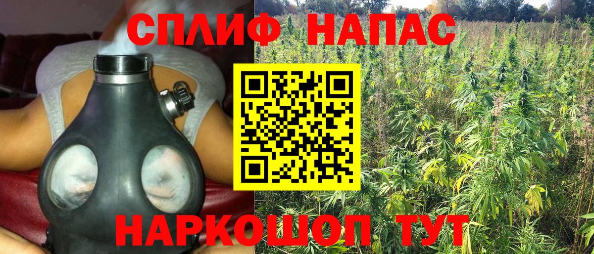 Бошки марихуана Amnesia Северск